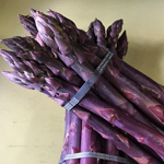 Asparagus, Purple Passion