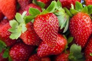 Strawberry (Everbearing), Albion (10 plants)