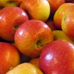 Apple Dwarf, Gala