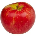 Apple Dwarf, Honey Crisp