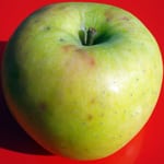 Apple Dwarf, Mutsu