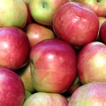 Apple Dwarf, Stayman Winesap
