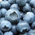 Blueberry, Aliceblue (Rabbiteye)