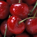 Cherry Standard, Bing