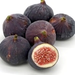 Fig, Magnolia