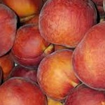 Peach Standard, Elberta