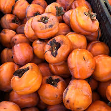 Persimmon